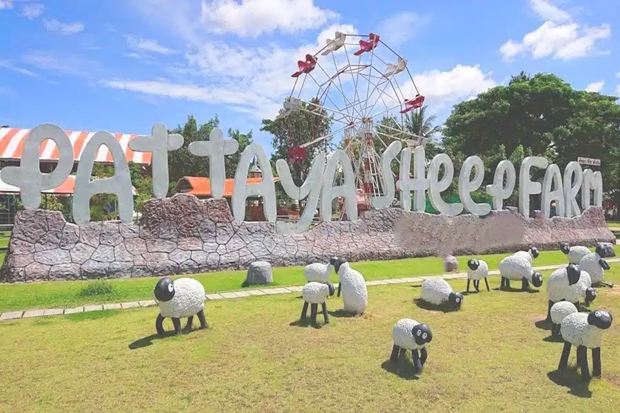 Eingangsbereich der Pattaya Sheep Farm mit buntem Schriftzug und Schaf-Figuren bei strahlendem Sonnenschein